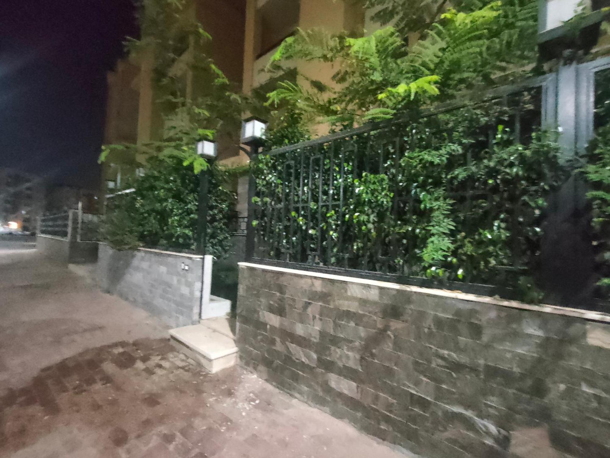 Apartment Younan House